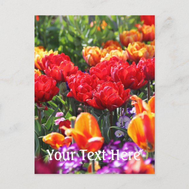 Falln Floral Crimson Waves Postcard (Front)