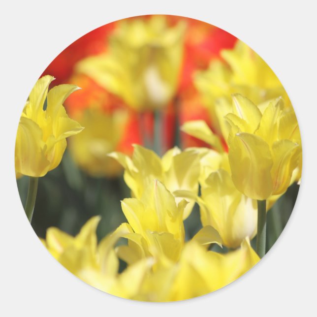 Falln Floral Summer Glow Classic Round Sticker (Front)