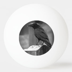 Falln Found A Feather Ping Pong Ball