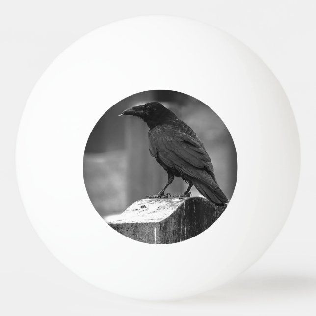 Falln Found A Feather Ping Pong Ball (Front)