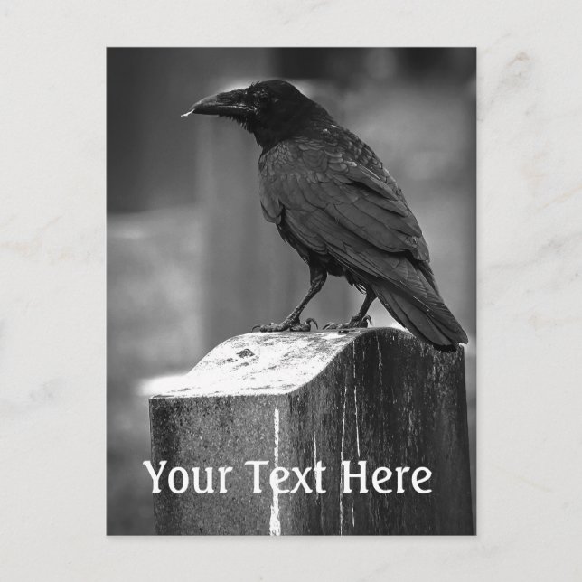 Falln Found A Feather Postcard (Front)