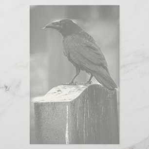 Falln Found A Feather Stationery