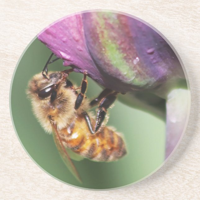 Falln Fuzzy Little Bee Coaster (Front)