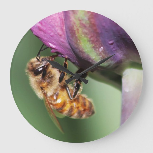 Falln Fuzzy Little Bee Large Clock (Front)