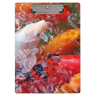Falln Gathering Koi Clipboard