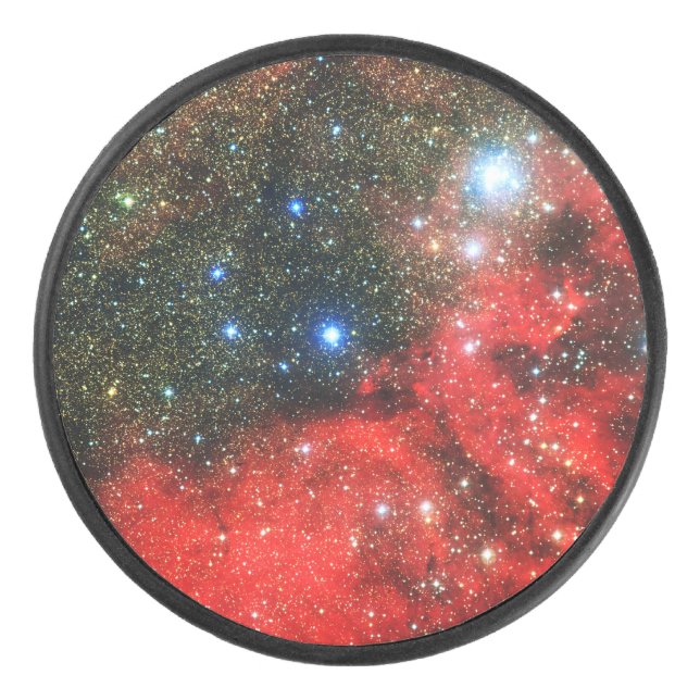 Falln Gold Dusted Galaxy Hockey Puck (Front)