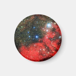 Falln Gold Dusted Galaxy Magnet