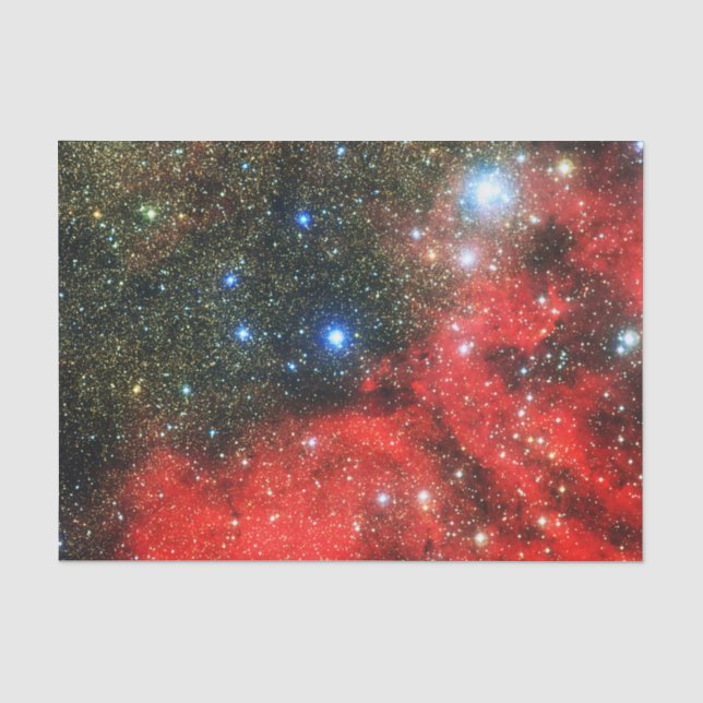 Falln Gold Dusted Galaxy Tissue Paper (Front)