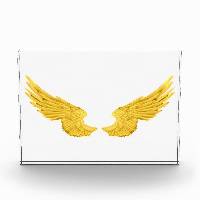 Falln Golden Angel Wings Photo Block (Front)
