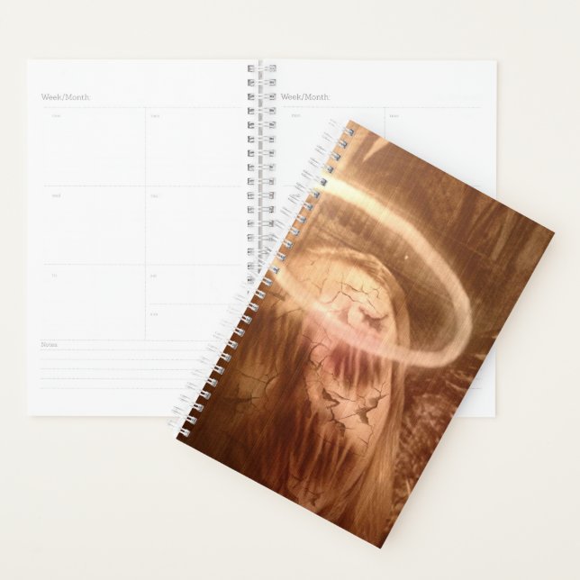 Falln Guardian Angel Planner (Display)