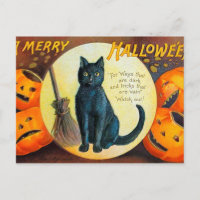 Falln Merry Halloween Cat
