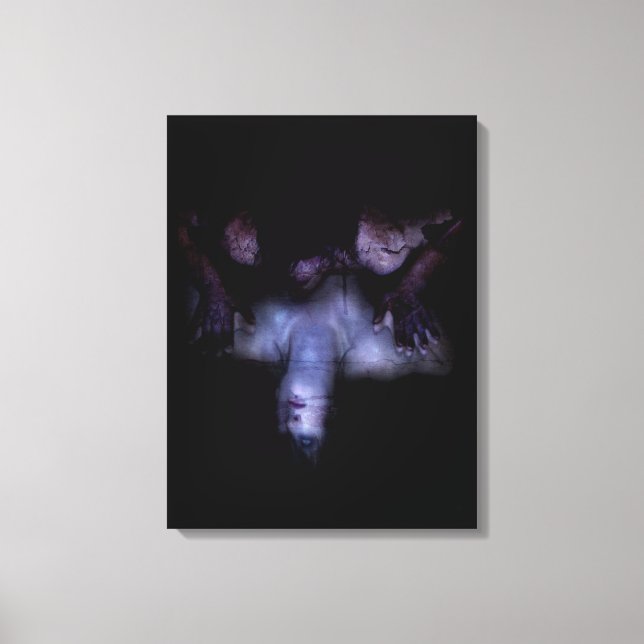 Falln MirrorMirror Canvas Print (Front)