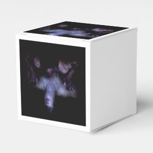 Falln MirrorMirror Favor Box