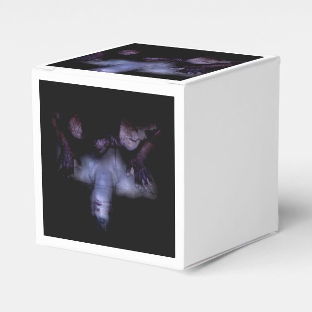 Falln MirrorMirror Favor Box (Front Side)