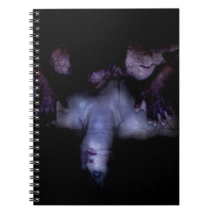Falln MirrorMirror Notebook