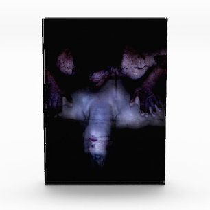 Falln MirrorMirror Photo Block