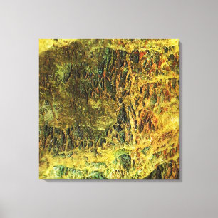 Falln Mossy Stones Canvas Print