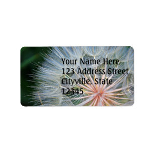 Falln New Wishes Label