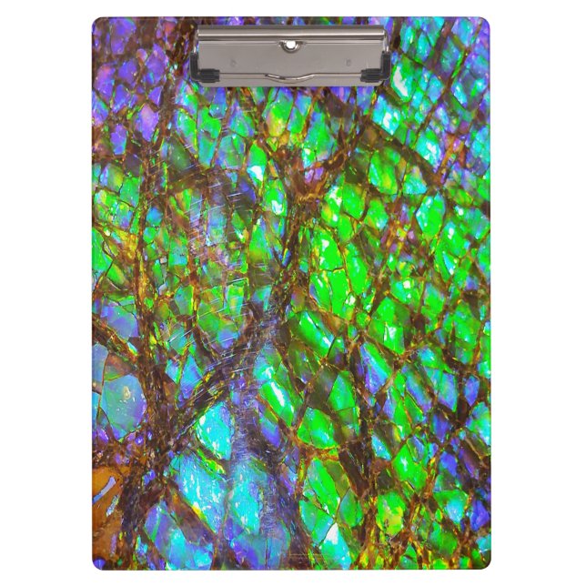 Falln Peacock Ammolite Clipboard (Front)
