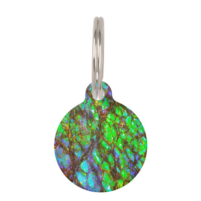 Falln Peacock Ammolite Pet Tag (Front)