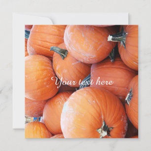 Falln Pumpkin Pile