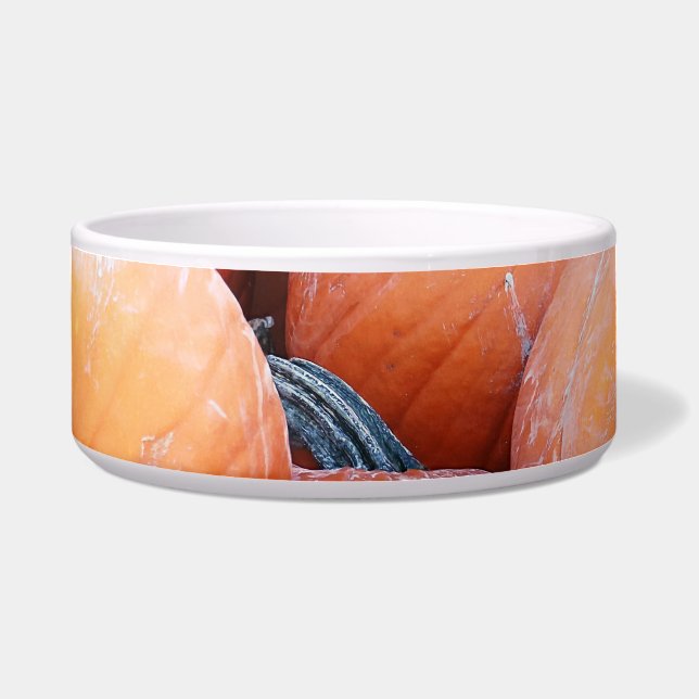 Falln Pumpkin Pile (Front)