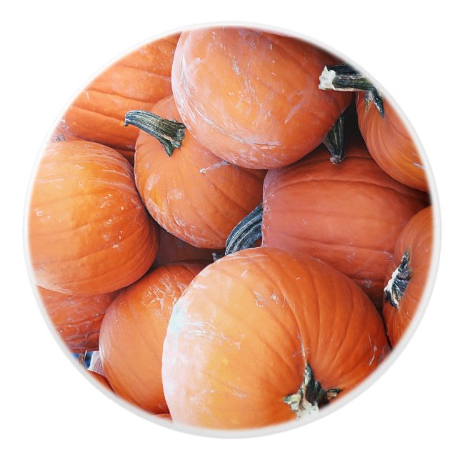Falln Pumpkin Pile Ceramic Knob (Front)