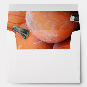 Falln Pumpkin Pile Envelope