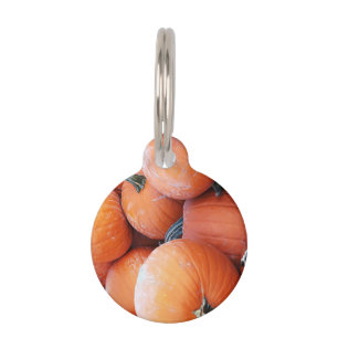 Falln Pumpkin Pile Pet Tag