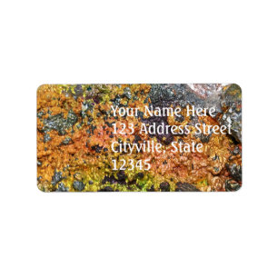 Falln Rusty Sunset Stones Label