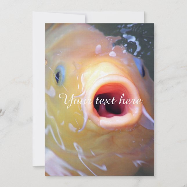 Falln Singing Ghost Koi (Front)