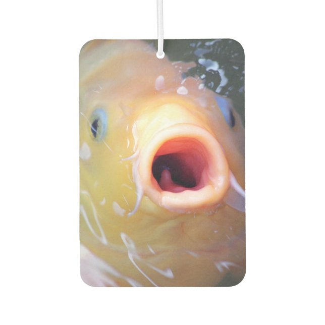 Falln Singing Ghost Koi Car Air Freshener (Front)