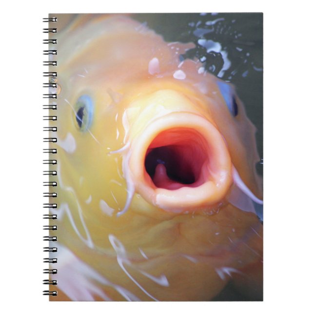 Falln Singing Ghost Koi Notebook (Front)