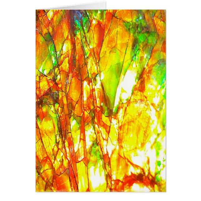 Falln Sunset Ammolite (Devant)