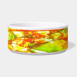 Falln Sunset Ammolite