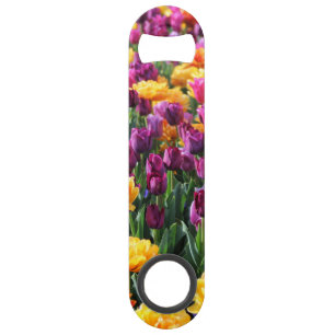 Falln Sunset Floral River