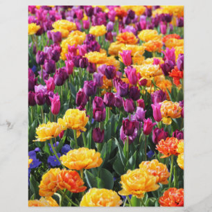 Falln Sunset Floral River