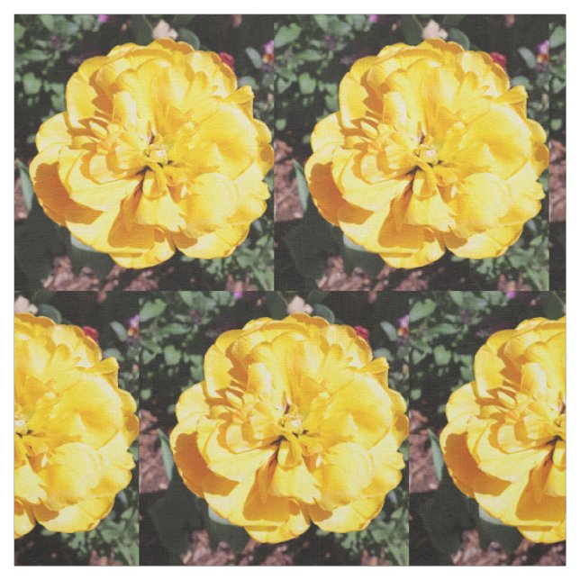Falln Sunshine Floral Fabric (Swatch)