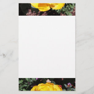 Falln Sunshine Floral Stationery