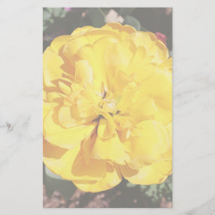 Falln Sunshine Floral Stationery