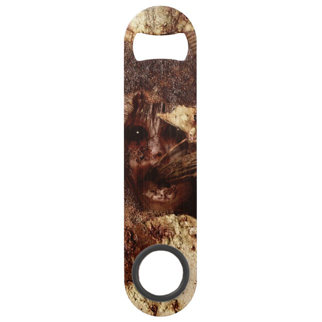 Falln Trapped Within Bar Key (Front)