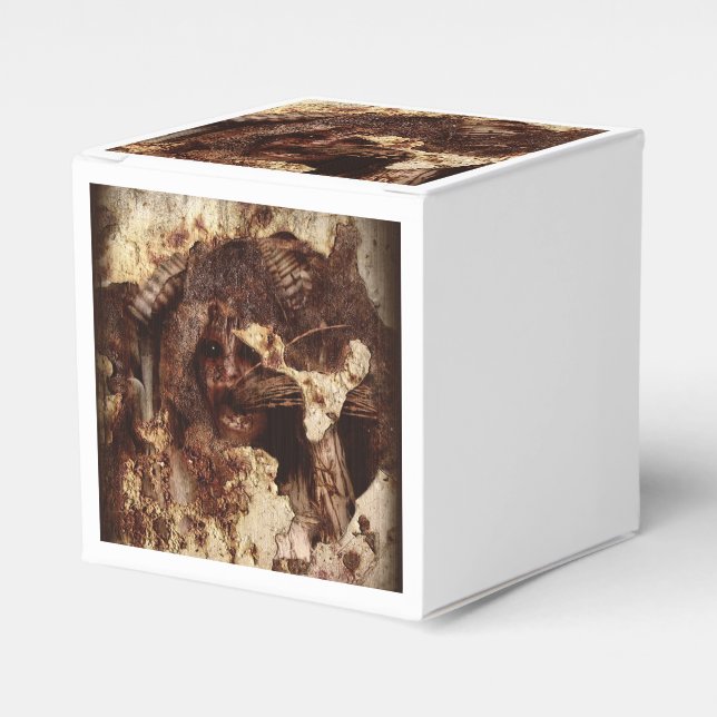 Falln Trapped Within Favor Box (Front Side)