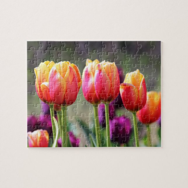 Falln Tulips Aflame Jigsaw Puzzle (Horizontal)