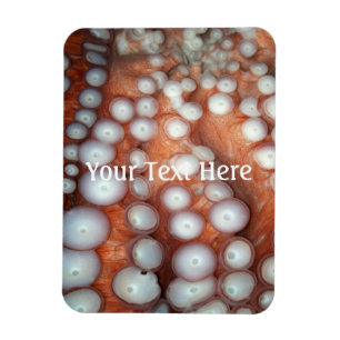 Falln Up Close Octopus Magnet