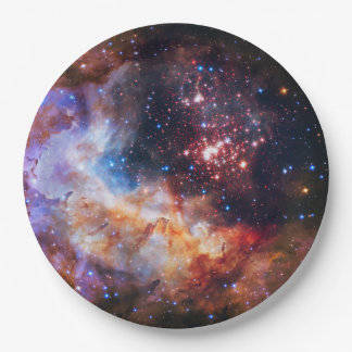 Falln Westerlund Star Field Paper Plate