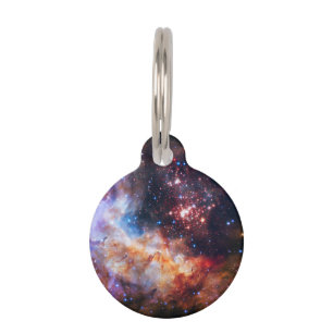 Falln Westerlund Star Field Pet Tag