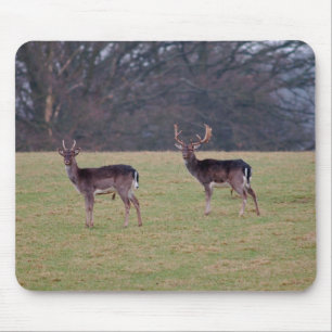 Fallow deer mouse pad