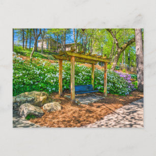 Falls Park, Greenville South Carolina Postcard