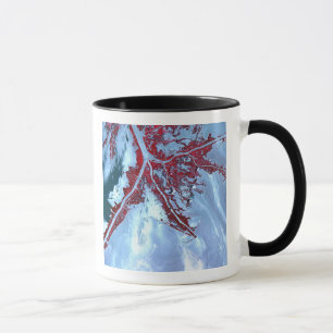 False colour satellite mug