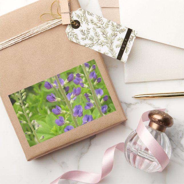 False Indigo (Baptisia australis) Sticker (Gifting)